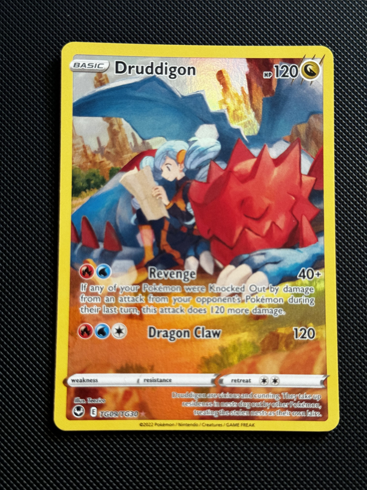 Pokemon Druddigon Silver Tempest Trainer Gallery TG09/TG30