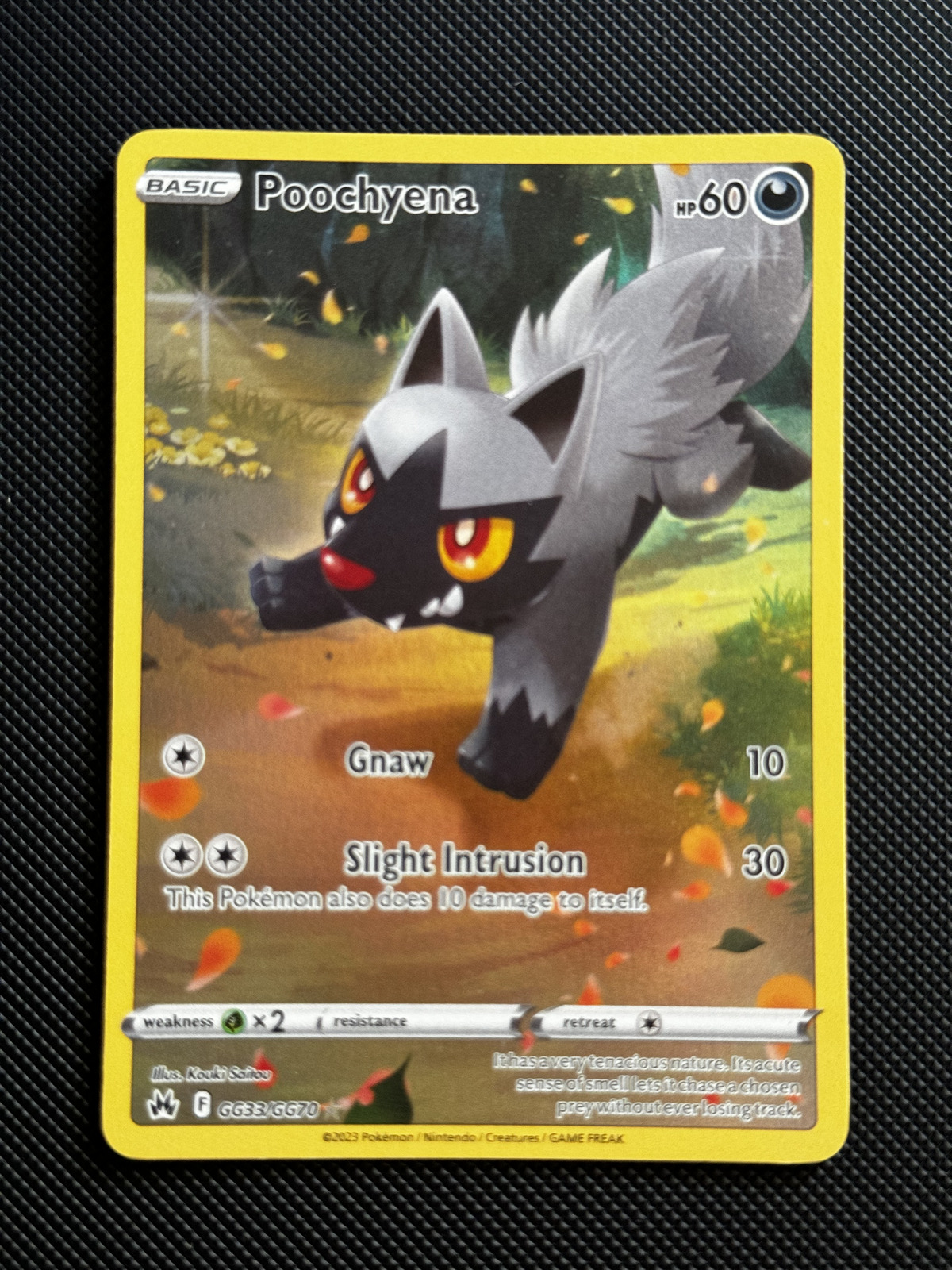 Pokemon Poochyena Crown Zenith Galarian Gallery GG33/GG70